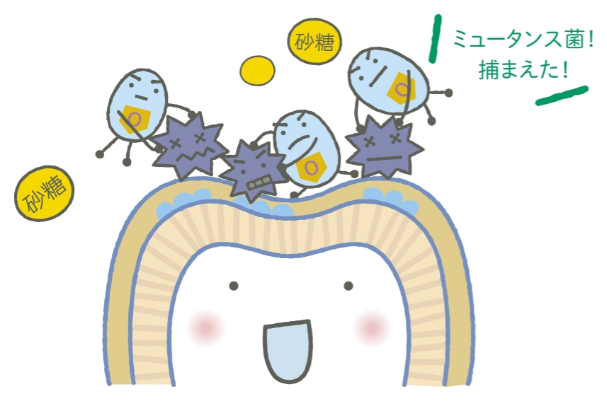 オーバルゲンＤＣを食べると・・・01