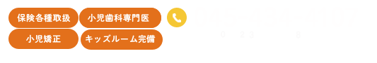 045-434-4107 診療時間　9:00-12:30 14:30-18:30 ※木曜午後は18:30まで 休診日 日曜日、祝日 保険各種取扱 小児歯科専門医 小児矯正 キッズルーム完備